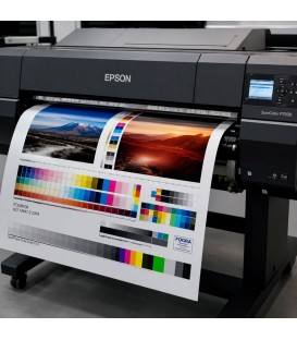 Iris de controle d'impression